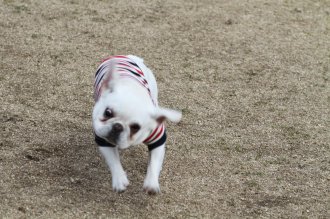 っと！