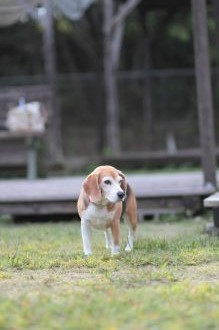 あ～・・　そこそこ♪