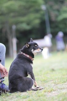 あ～・・　そこそこ♪
