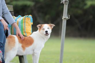 あ～・・　そこそこ♪