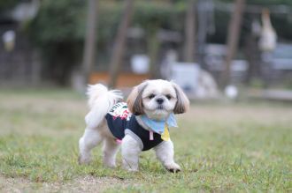 あ～・・　そこそこ♪