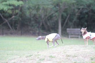 あ～・・　そこそこ♪