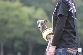 あ～・・　そこそこ♪