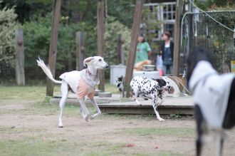 あ～・・　そこそこ♪