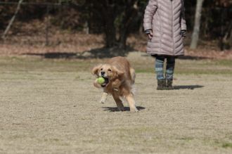 これでもくらえ!!　