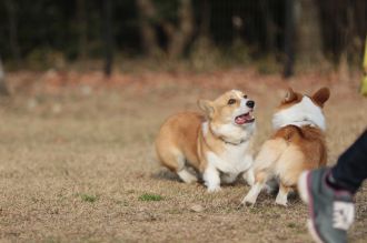 これでもくらえ!!　