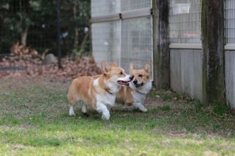 これでもくらえ!!　