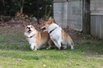 これでもくらえ!!　