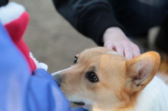 これでもくらえ!!　