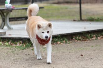 これでもくらえ!!　