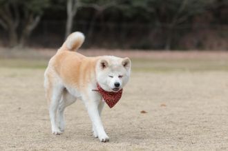 これでもくらえ!!　
