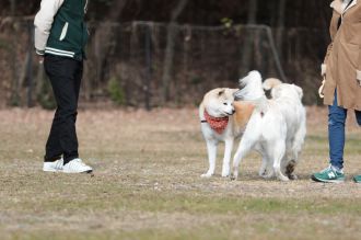 これでもくらえ!!　