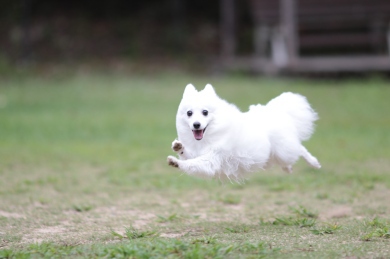 お知らせ♪