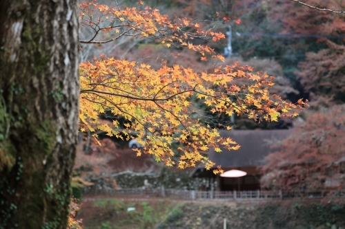 そういえば。