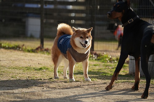 暖かい♪