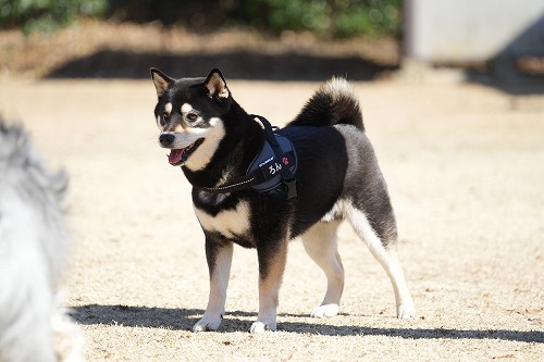 まだまだ。。