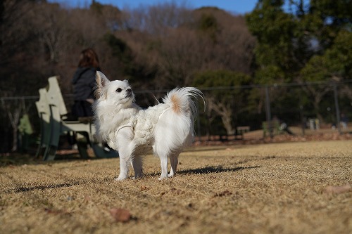 まだまだ。。