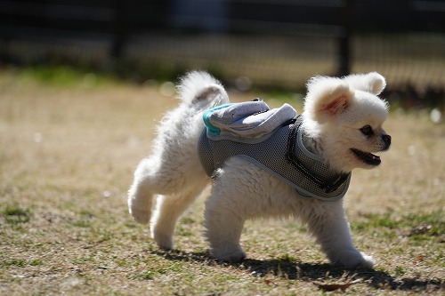 追いついた♪