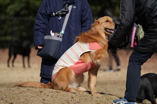 良く降りますねぇ。。