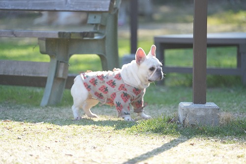 良く降りますねぇ。。