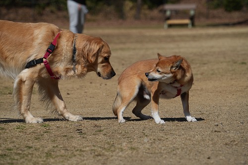 毎度遅れ遅れで。。