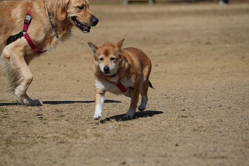 毎度遅れ遅れで。。