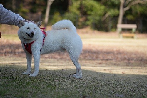 毎度遅れ遅れで。。