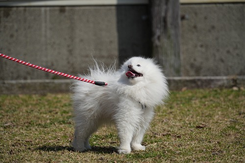 変な天気♪
