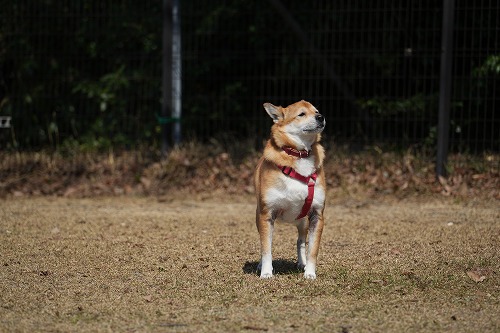 変な天気♪