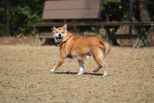 変な天気♪