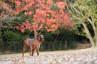 遅くなりました。。と、何末年始のお知らせ！