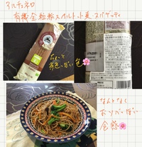 アルチェネロ 有機全粒粉スペルト小麦・スパゲティ