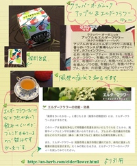 クリッパー オーガニック アップル＆エルダーフラワー ティー