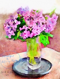 Waterlogue＆Affinity Photo
