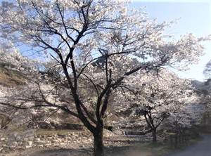 露天風呂：カジカの湯