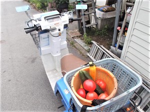 トマト初収穫