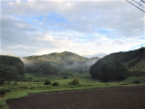 見事な”虹”