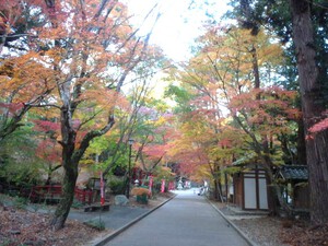 ぶらーり油山寺