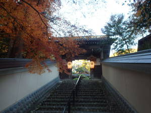 ぶらーり油山寺