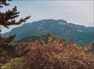 ”そこ山”　：鳳来寺山