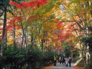 遠州小国神社