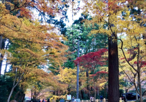 遠州小国神社