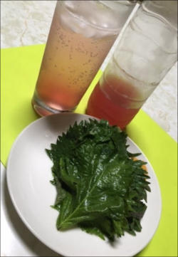 コツコツ”自家製飲料水”作り