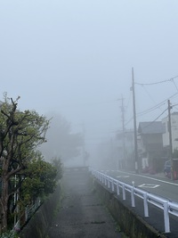朝の霧 2024/04/06 09:34:05