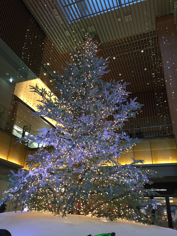名駅　　　の　　クリスマス～　　☆