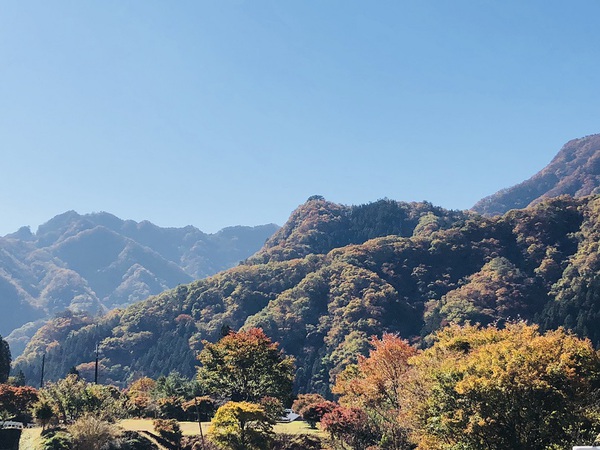 旧黒澤家住宅　　を　　見学～　　☆