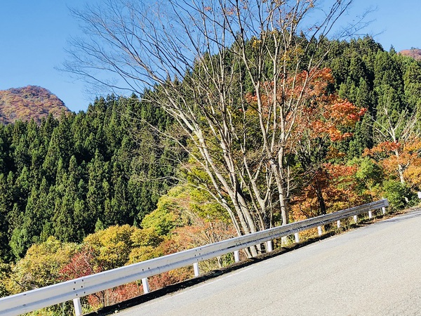 旧黒澤家住宅　　を　　見学～　　☆