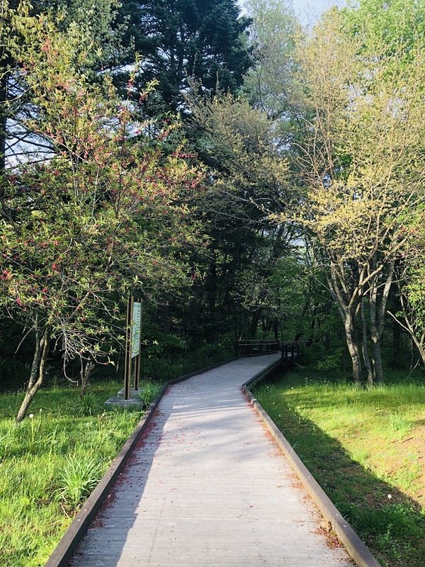 軽井沢　　湯川ふるさと公園　を　　ウォーキング　☆