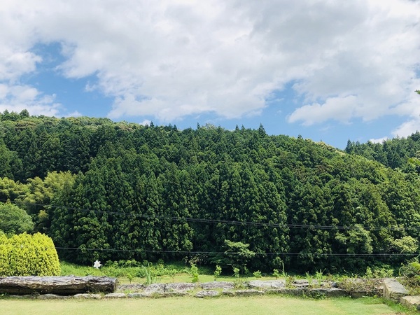 浜松市（静岡県）　　カフェオーラ　さん　で　ランチ　　☆