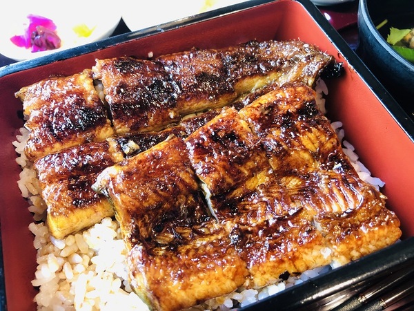 浜松市（静岡県）　　舞阪港和彩旬鮮　浜菜坊　さん　で　ランチ　☆